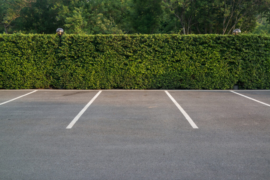 Empty parking spaces with white lines on asphalt, bordered by a tall, dense green hedge and trees in the background.
