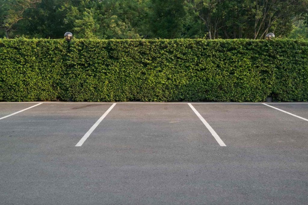 Empty parking spaces with white lines on asphalt in front of a tall, dense green hedge and trees in the background.